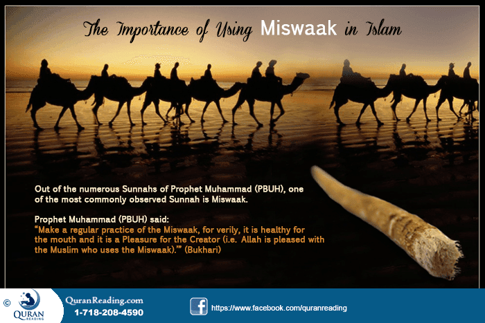 Benefits of Using Miswak As the Natural Toothpaste