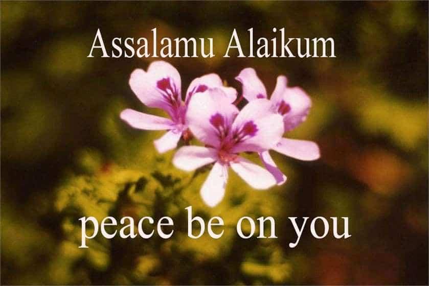 Importance of Saying Salaam | Benefits of “As-Salaamu Alaikum”
