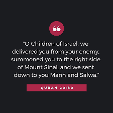 Mann-O-Salwa the Food of Jannah for Bani Israel